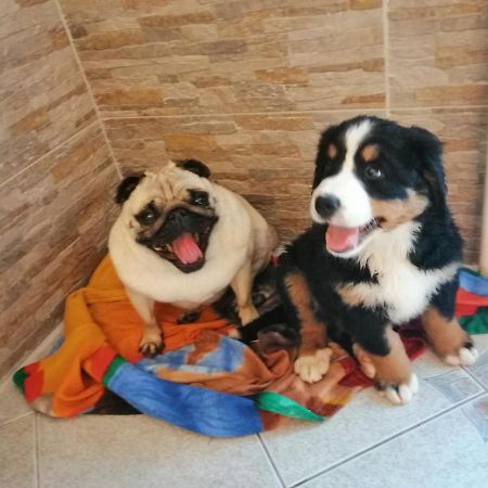 Freya Daire Lesce  Dış mekan fotoğraf